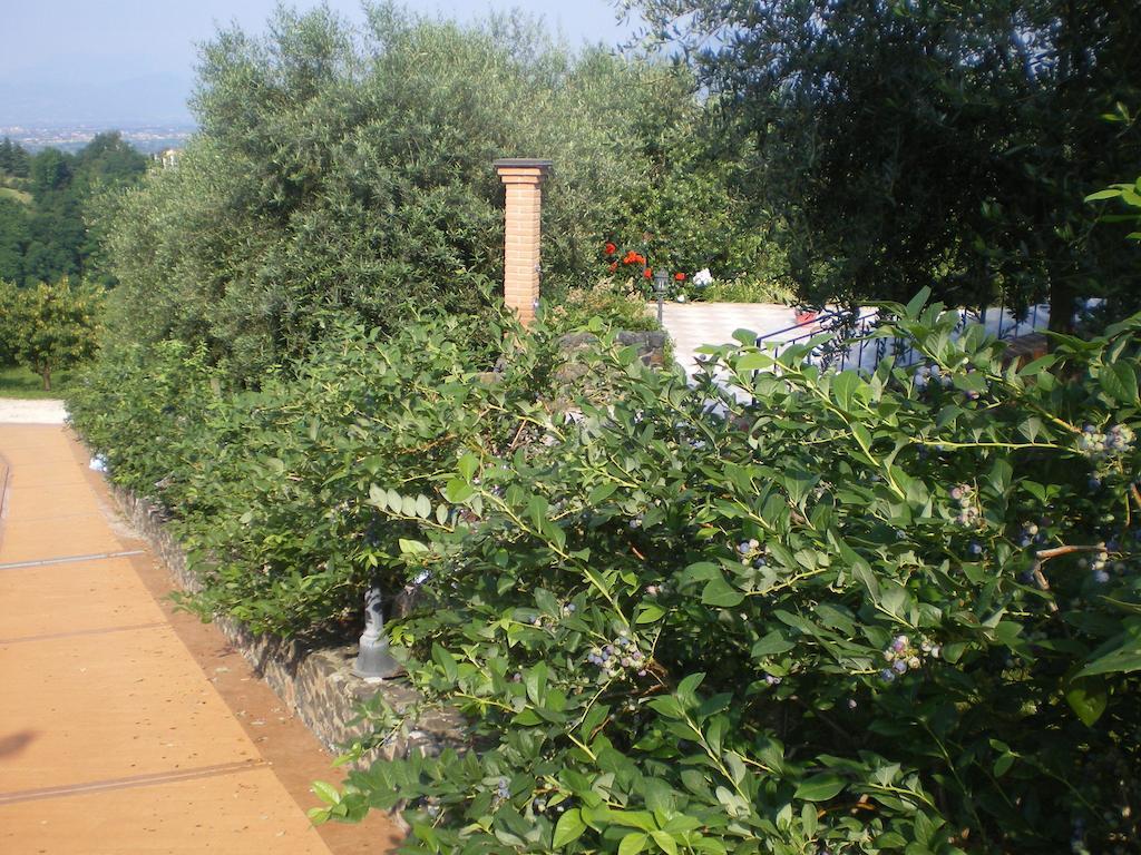 Tenuta Fortelongo Fara Vicentino المظهر الخارجي الصورة