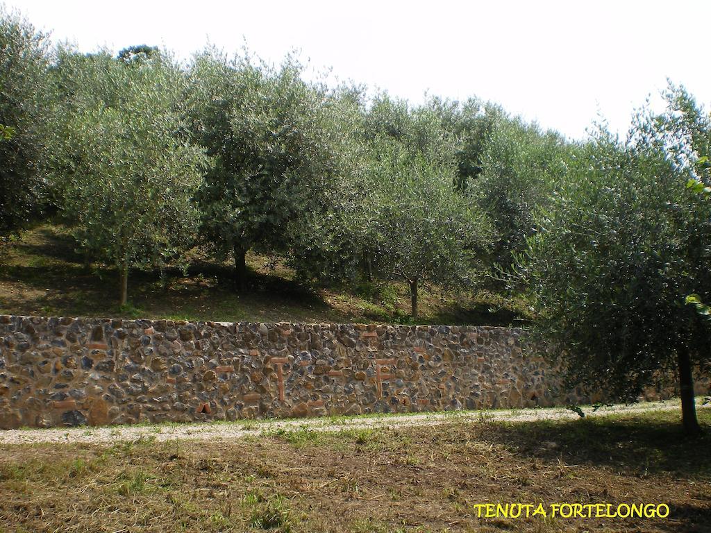 Tenuta Fortelongo Fara Vicentino المظهر الخارجي الصورة