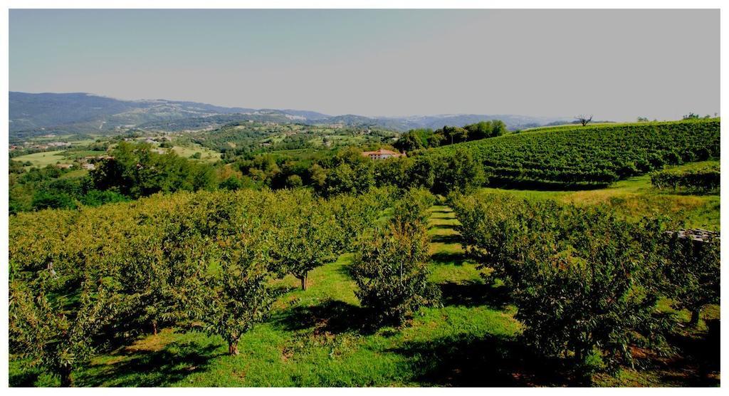Tenuta Fortelongo Fara Vicentino الغرفة الصورة
